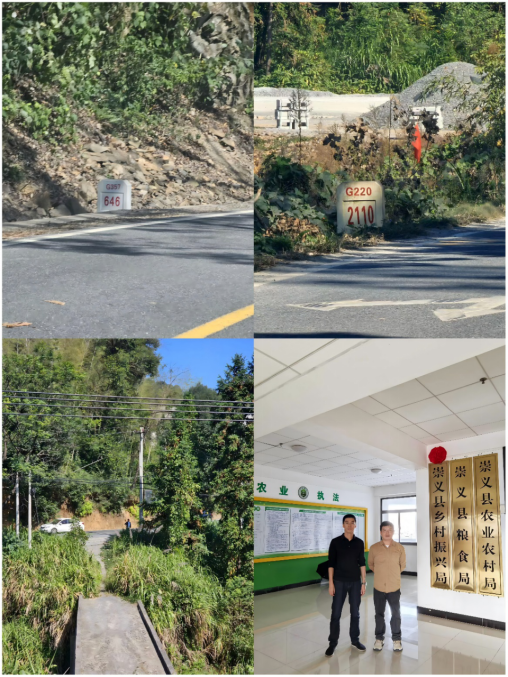 1733378479998122.png 33e90e4048fb86896774cb401e54436.png